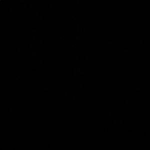 Meet your Posher, Ronnie